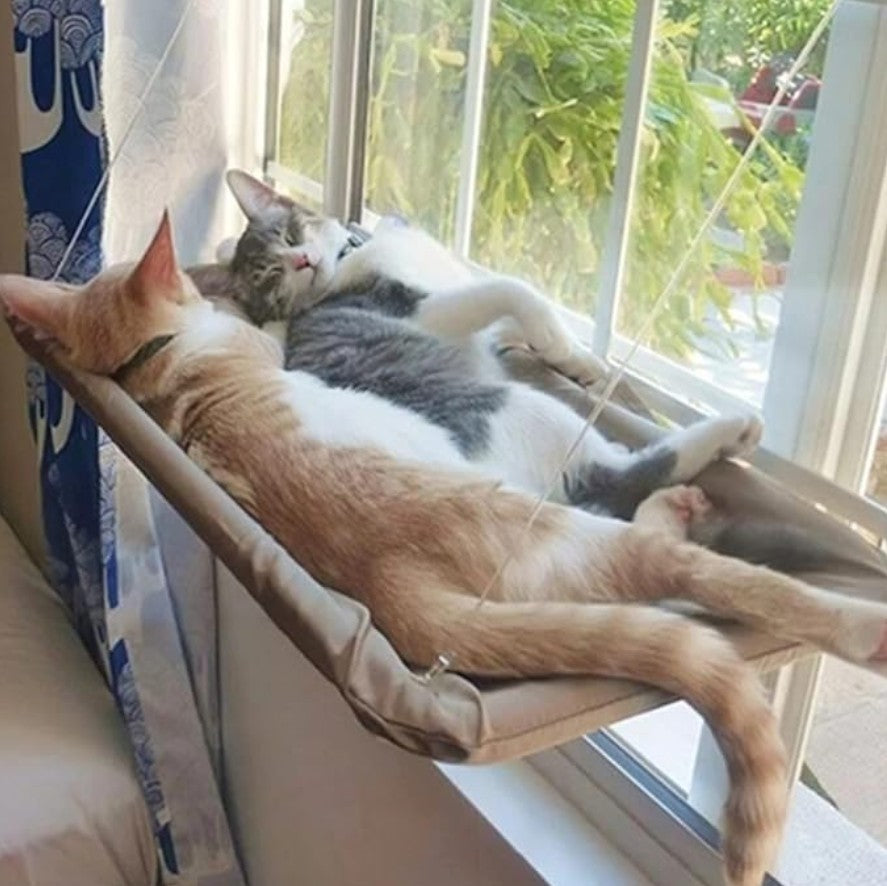 ✨ Su espacio preferido para descansar 🛋️ Envío GRATIS a todo Chile🚚