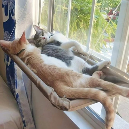 ✨ Su espacio preferido para descansar 🛋️ Envío GRATIS a todo Chile🚚